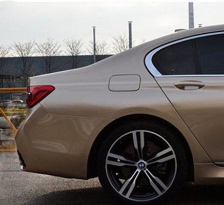 Abrigo brillante estupendo Champagne Gold metálico del vinilo del coche del lustre del ANIMAL DOMÉSTICO