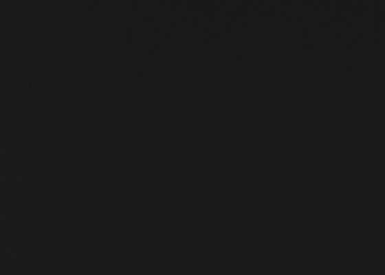 Resistente de humedad 1.2m m auto-adhesivo negro del vinilo de la película del armario para la cocina